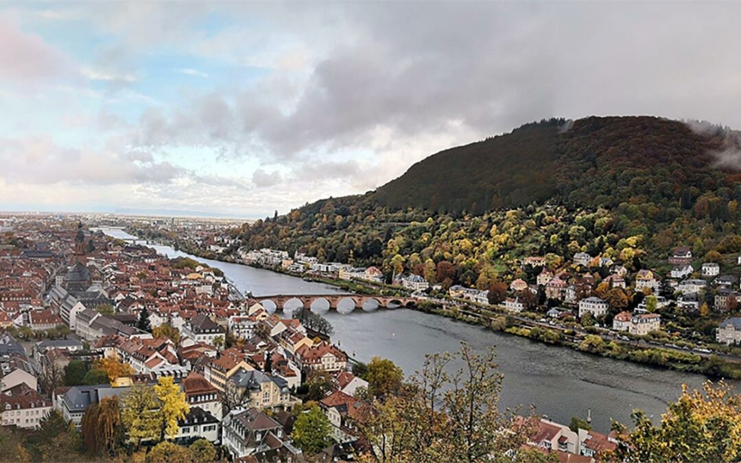 BVDN-Landesverband Baden-Württemberg