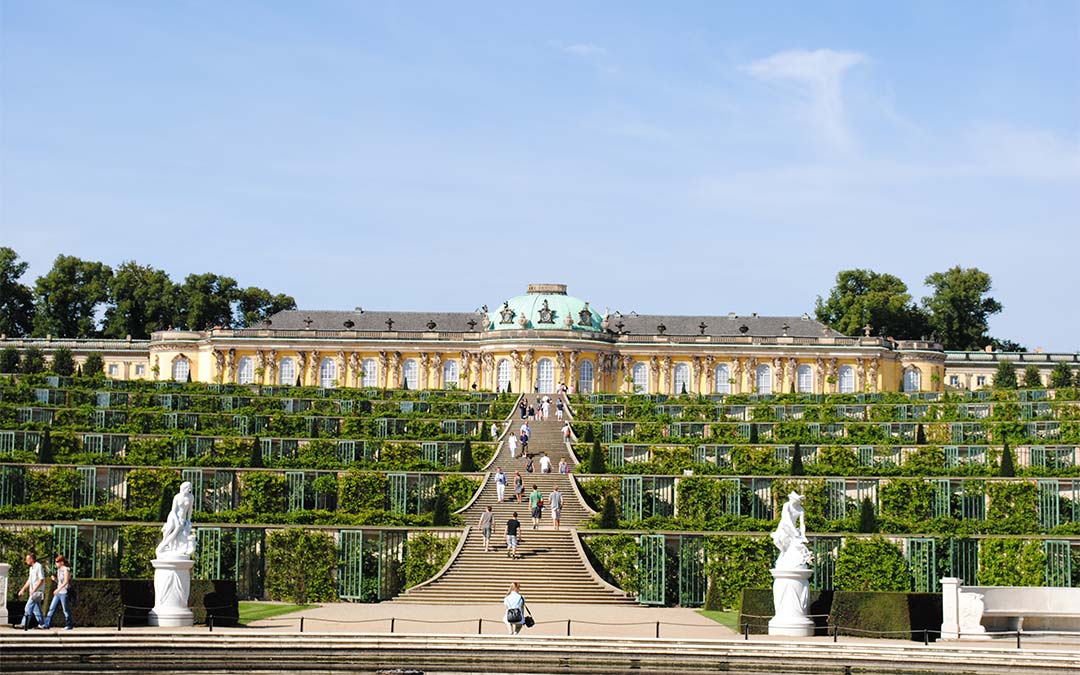 BVDN-Landesverband Brandenburg