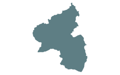 BVDN-Landesverband Rheinland-Pfalz