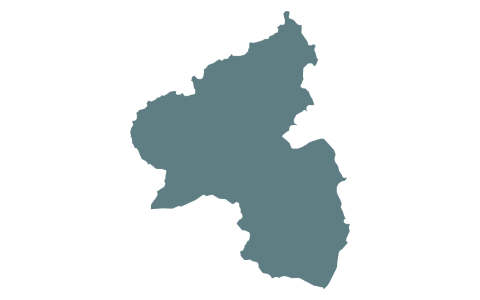 Informationen aus dem BVDN-Landesverband Rheinland-Pfalz
