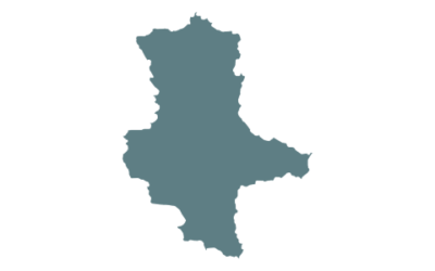 BVDN-Landesverband Sachsen-Anhalt