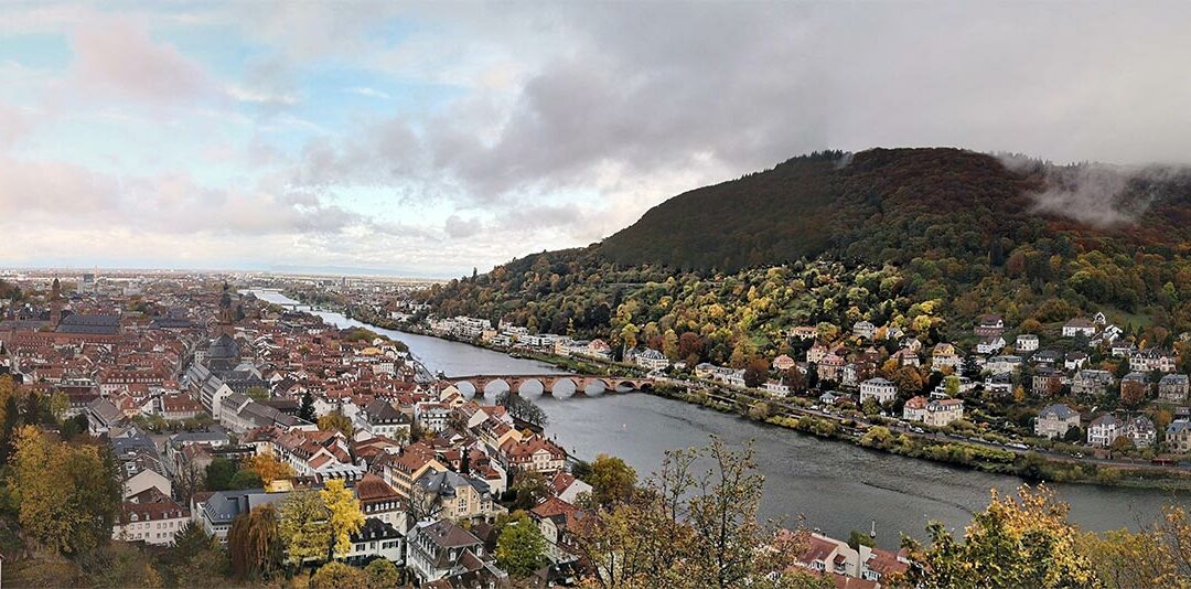 Kontaktformular für den BVDN-Landesverband Rheinland-Pfalz