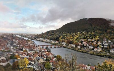 Kontaktformular für den BVDN-Landesverband Rheinland-Pfalz